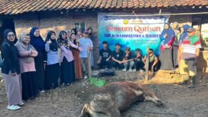 “Senyum Qurban” Warnai Idul Adha di Kalilumpang: Satu Sapi, Satu Kambing, Sejuta Kebahagiaan